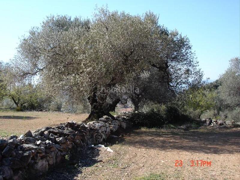 Foto d399512c-d9e5-4f7c-b02f-23962377393f. Landgut in San Jorge