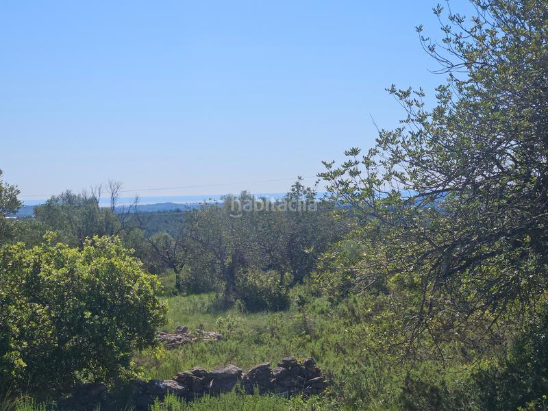 Foto f2c61a0c-63f9-4aef-9136-20c7c8f90f2b. Landgut in San Jorge