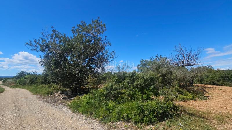 Foto 0b95550e-62bc-4656-b8eb-fb875e93bf29. Landgut in Cálig