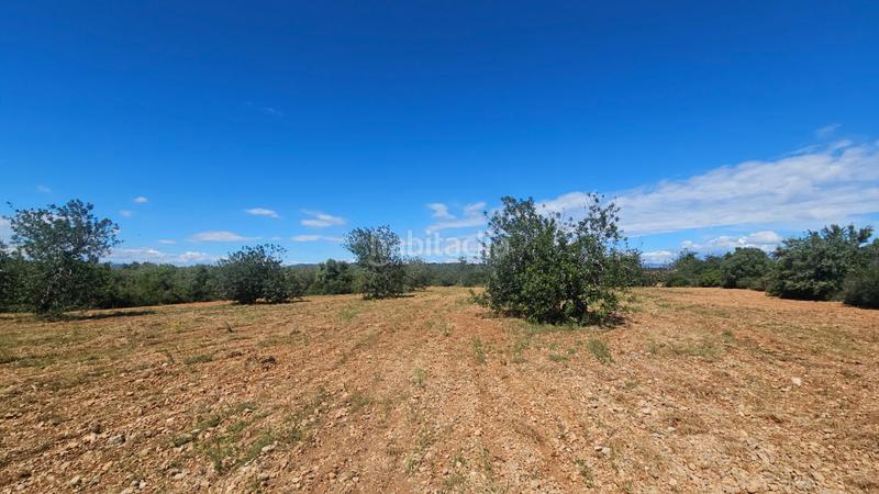 Foto 1141b822-93a1-4ec5-9c03-490b43234976. Landgut in Cálig