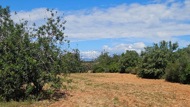 Foto 32165aaa-38e2-490e-ba64-b0eb4b3272a3. Landgut in Cálig