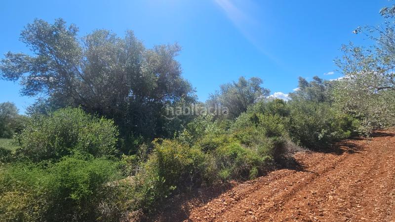 Foto 4124c445-ac4b-44ee-a823-1dcddc9dc248. Landgut in Cálig