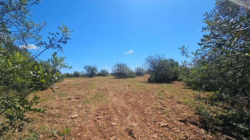 Foto 66c32630-a00c-4831-9d48-e9b15b46bf29. Landgut in Cálig