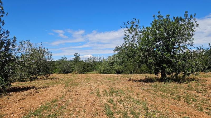 Foto b60e0301-874c-4dba-ae80-73c41794c06f. Landgut in Cálig