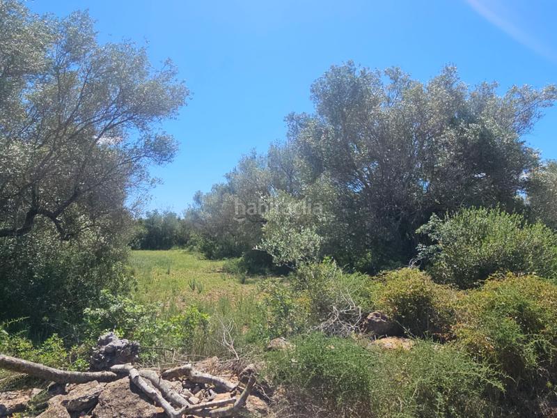 Foto ee97e850-0586-4337-8604-9938a27f1657. Landgut in Cálig