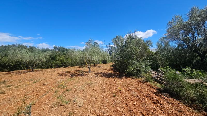 Foto f4e85e20-8f56-4b08-b08c-5c1d443888c2. Landgut in Cálig