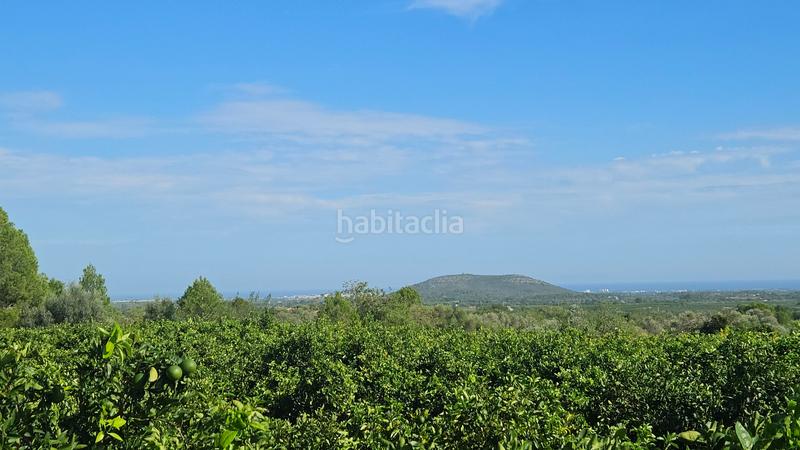 Foto 0fb27dc4-1cff-48e8-8a7e-b121b8c95089. Finca rústica a carrer de sant roc 10 a Cálig