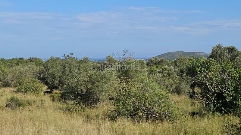 Foto 11fcba70-a812-4d0d-bc53-ea5d809d0818. Finca rústica a carrer de sant roc 10 a Cálig