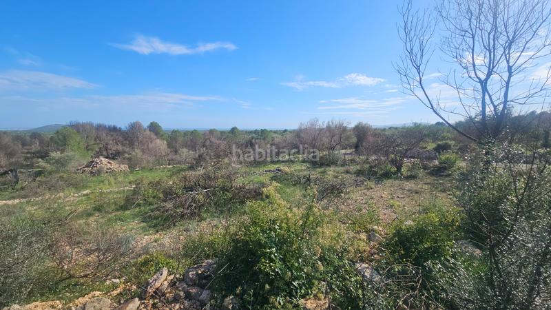 Foto 15e95004-ae74-4878-a96f-385ede5e333e. Finca rústica a carrer de sant roc 10 a Cálig