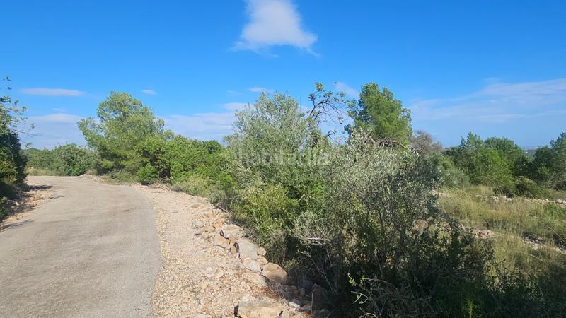 Foto 294d1783-6d90-49f1-adeb-b5a6802386ac. Finca rústica a carrer de sant roc 10 a Cálig