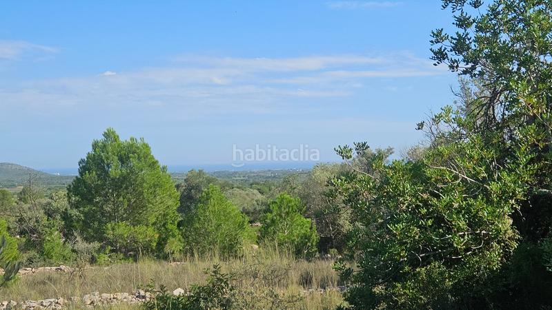 Foto 2a6813e9-2277-4a5e-8e12-2c883a0e8954. Finca rústica a carrer de sant roc 10 a Cálig