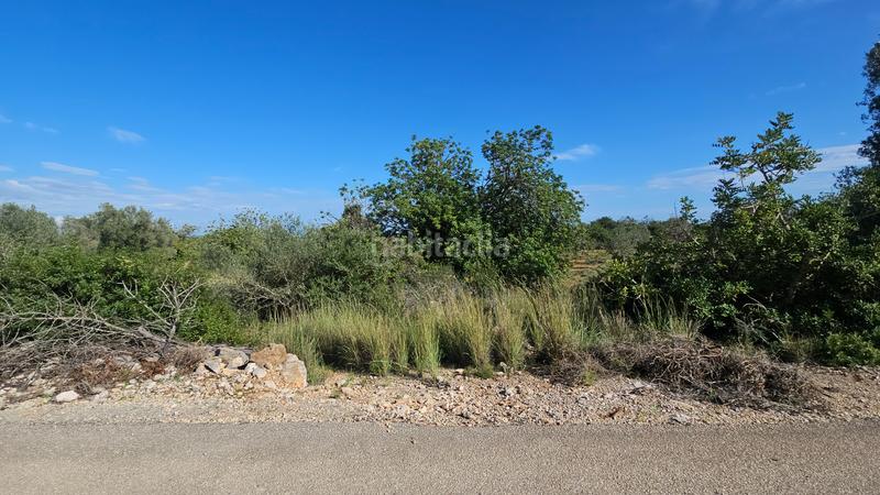 Foto 35d9cefd-d873-45f7-84f1-85f0f877d3eb. Finca rústica a carrer de sant roc 10 a Cálig