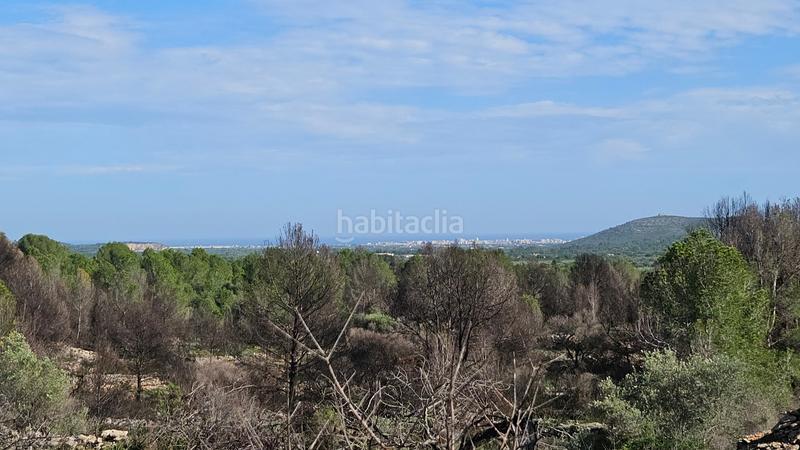 Foto 499132a1-459c-4740-80a7-c36a6e8b38e8. Finca rústica a carrer de sant roc 10 a Cálig