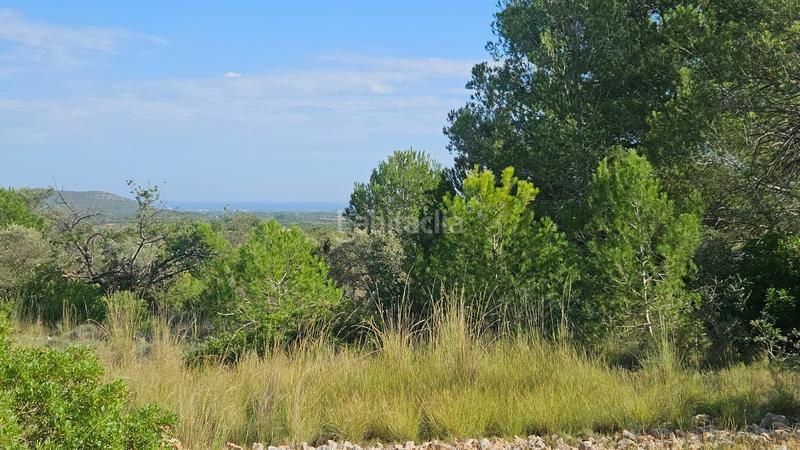 Foto 80fe23ed-db6b-432f-a37c-f5e8d09c071d. Finca rústica a carrer de sant roc 10 a Cálig