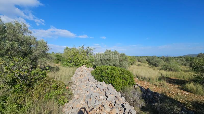 Foto 9b1ef9f6-81da-425a-b1f5-2bfaf5da4c65. Finca rústica a carrer de sant roc 10 a Cálig