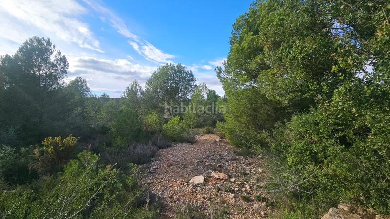 Foto a7141dd2-bfa1-430c-83df-f993a79e8fa2. Finca rústica a carrer de sant roc 10 a Cálig