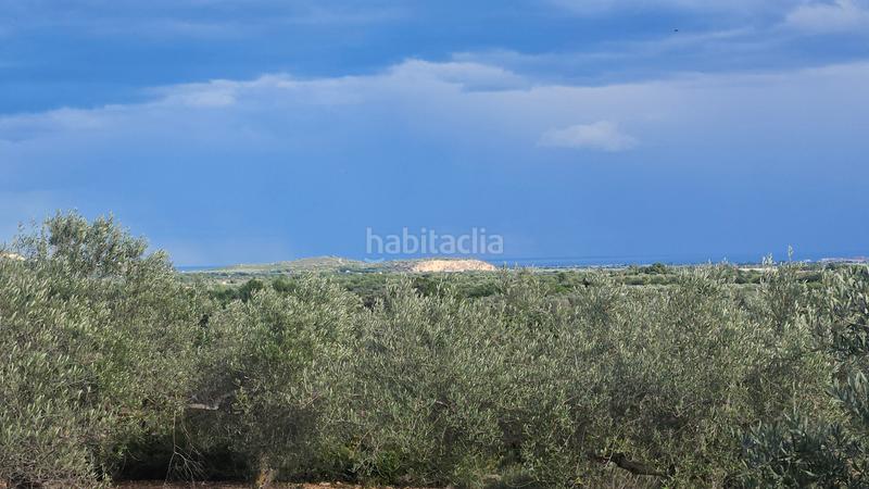 Foto cb7864cf-24da-4e40-a303-2e3042c00ee3. Finca rústica a carrer de sant roc 10 a Cálig