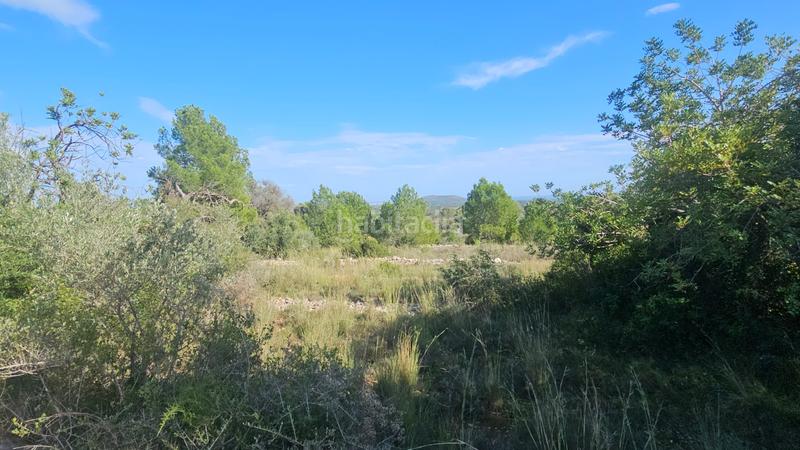 Foto e575689c-6de7-4810-80a5-9a0c6012f91b. Finca rústica a carrer de sant roc 10 a Cálig