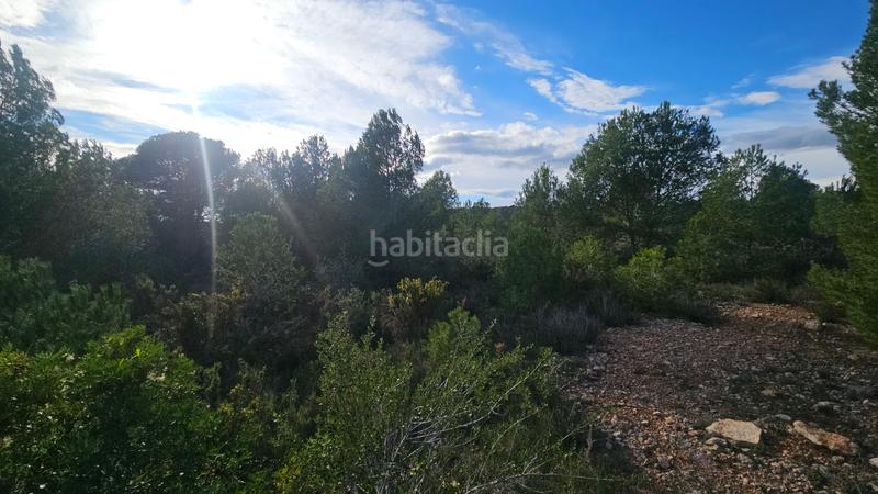 Foto ea88cf10-8d52-444c-8190-ebc53d5c3aaa. Finca rústica a carrer de sant roc 10 a Cálig