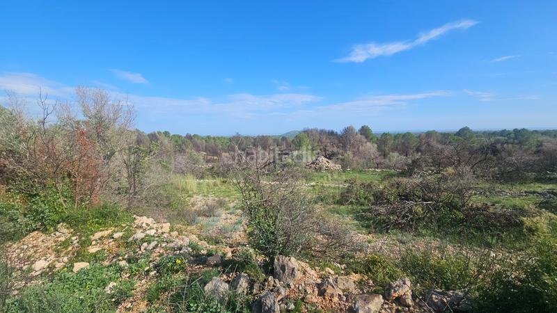 Foto f0f7ac26-d112-472b-8257-18981c33d0fd. Finca rústica a carrer de sant roc 10 a Cálig