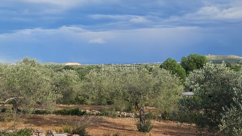 Foto fc9488f7-ba0e-4aba-9e89-c09359ec06ad. Finca rústica a carrer de sant roc 10 a Cálig