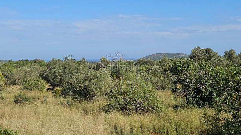 Foto fed687c0-e166-4d0a-889c-26fb1b28ceb0. Finca rústica a carrer de sant roc 10 a Cálig