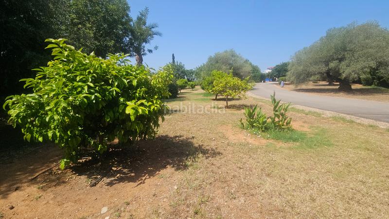 Foto 761e122f-303e-4cac-87a6-d81cdfc9330c. Xalet amb xemeneia calefacció aparcament piscina a Cálig