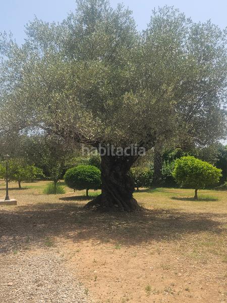 Foto e8aa01aa-fdeb-4b26-a722-30b3b5cd5613. Xalet amb xemeneia calefacció aparcament piscina a Cálig