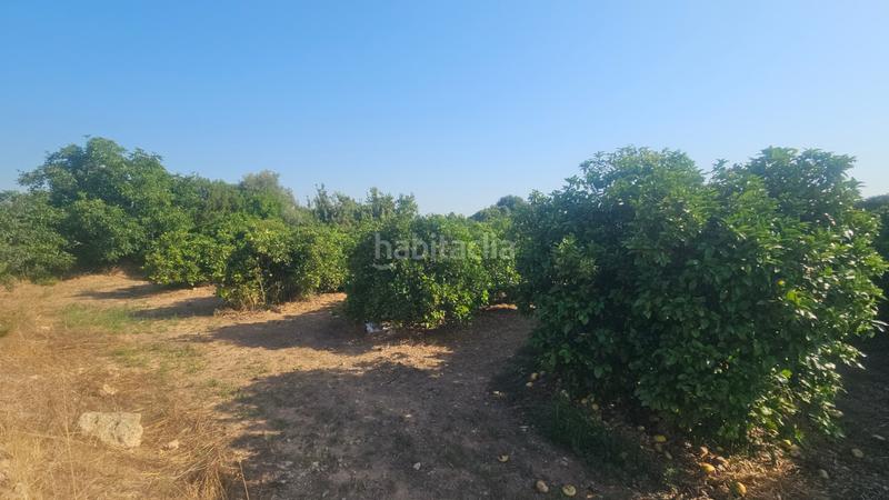 Foto 0ed5150d-708e-40ca-9705-08158646c3e6. Propriété dans Partidas de Interior - Zona Rústica Vinaròs