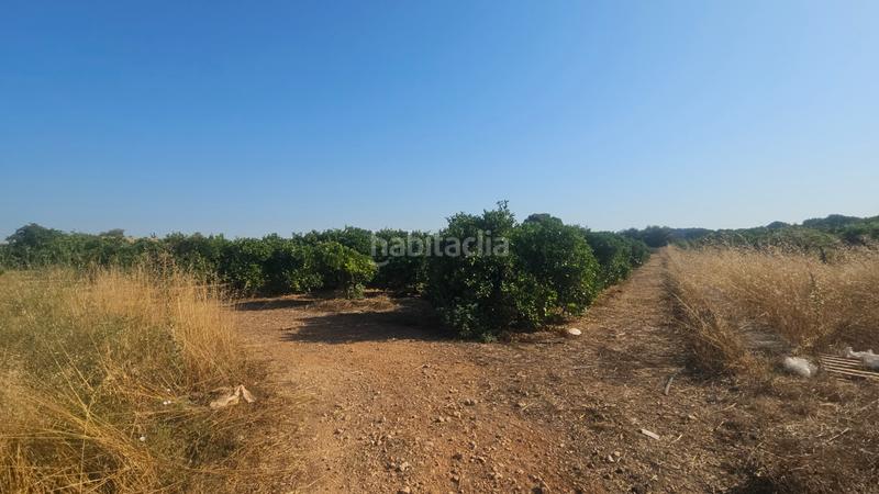 Foto 1d09f6b1-1ce3-4f9e-a4d4-709f4d848135. Propriété dans Partidas de Interior - Zona Rústica Vinaròs