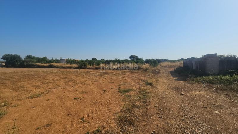 Foto ceb256b8-7877-4a99-9485-7ade286c4039. Propriété dans Partidas de Interior - Zona Rústica Vinaròs