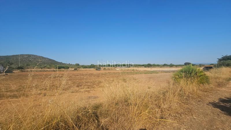 Foto fed0a164-5880-477e-9d6f-14299e458088. Propriété dans Partidas de Interior - Zona Rústica Vinaròs