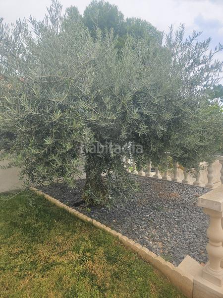 Foto ed933bfa-5dd4-4f5a-bf18-d8bf4bbc24e1. Xalet amb calefacció aparcament piscina a closa de Vinaròs - ermita Vinaròs