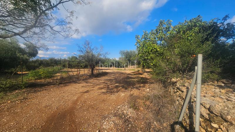 Foto 2111c386-6e21-4bc1-bc51-ffc229899ab0. Masía finca+2 casas+garaje+ els valentins+tarragona+españa en Ulldecona