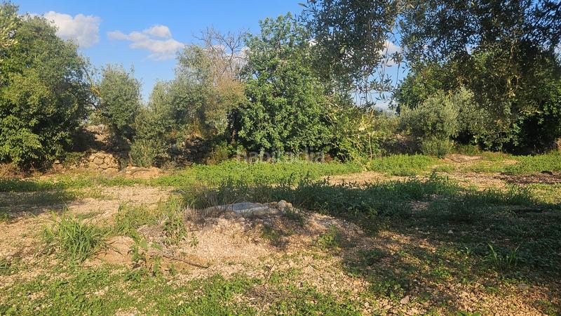 Foto 2128f3c2-806c-47ea-a02c-137db3605027. Masía finca+2 casas+garaje+ els valentins+tarragona+españa en Ulldecona