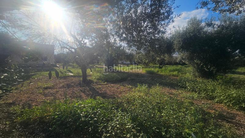 Foto 298e50d7-edfd-47ce-b61a-92b445557c0a. Masía finca+2 casas+garaje+ els valentins+tarragona+españa en Ulldecona