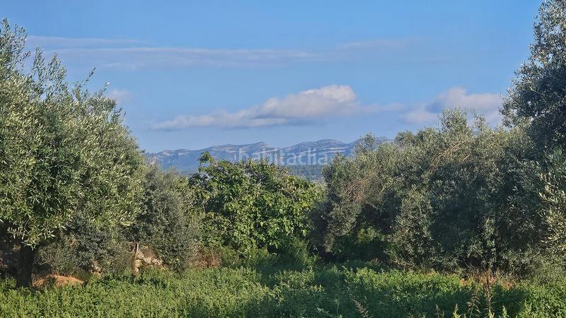 Foto 2bb9583d-7082-4ad0-a5fe-f90514375868. Masía finca+2 casas+garaje+ els valentins+tarragona+españa en Ulldecona