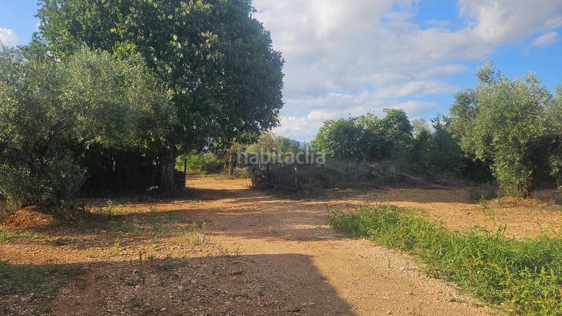 Foto 371f35d9-3c4b-41f3-bf10-464a80c3b768. Masía finca+2 casas+garaje+ els valentins+tarragona+españa en Ulldecona