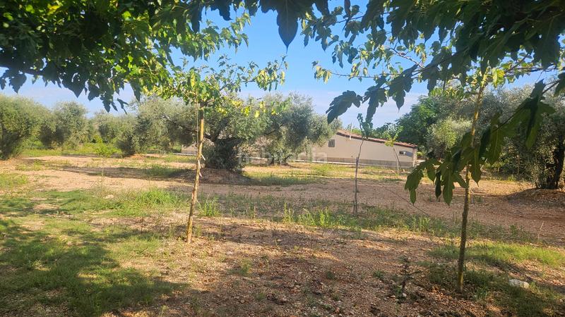 Foto 7773e04c-dcd0-438d-bc3c-de58345ca63a. Masía finca+2 casas+garaje+ els valentins+tarragona+españa en Ulldecona