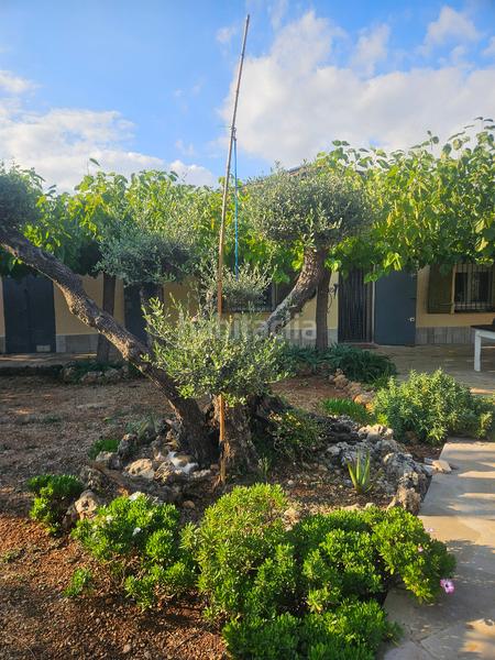 Foto 77be1d3e-a370-47d1-b949-44d0a97e9139. Masía finca+2 casas+garaje+ els valentins+tarragona+españa en Ulldecona