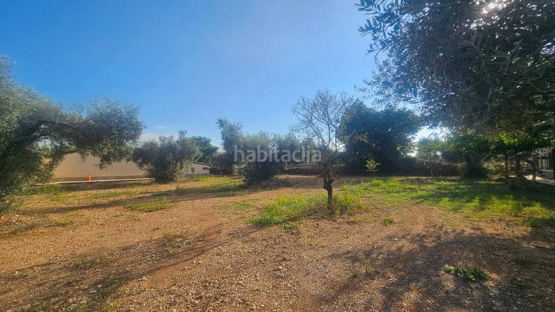 Foto 8a8259ce-7b5b-48b1-a3b5-3a29838632b3. Masía finca+2 casas+garaje+ els valentins+tarragona+españa en Ulldecona