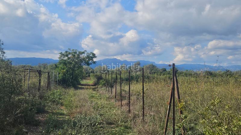 Foto a7cf1b11-03fb-46de-bc1b-4d14ca39a468. Masía finca+2 casas+garaje+ els valentins+tarragona+españa en Ulldecona