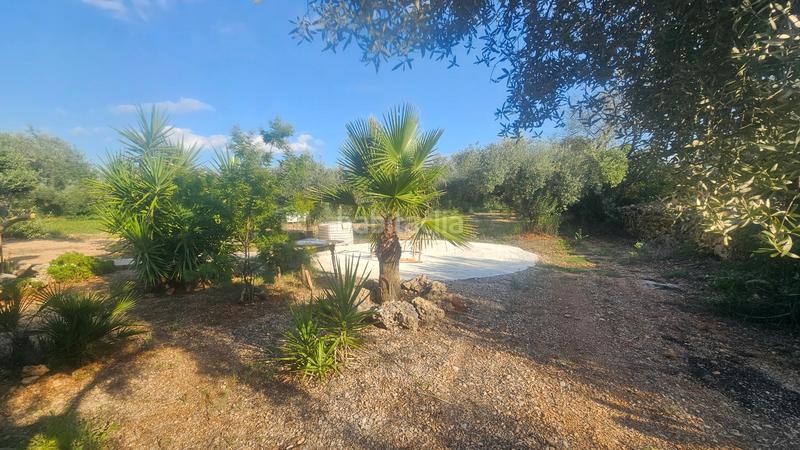 Foto d994c8f9-d982-480f-9f37-715c81aa150c. Masía finca+2 casas+garaje+ els valentins+tarragona+españa en Ulldecona