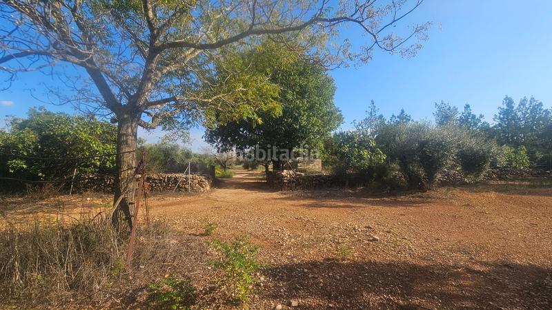 Foto e9b2e391-8de4-4404-bf8b-07e2c04ac55c. Masía finca+2 casas+garaje+ els valentins+tarragona+españa en Ulldecona