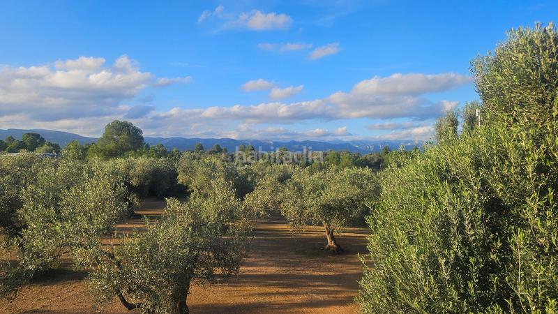 Foto 34f79b3e-5761-48c1-988c-d4ea0bdfa44f. Mas dans n/a dans Canet lo Roig