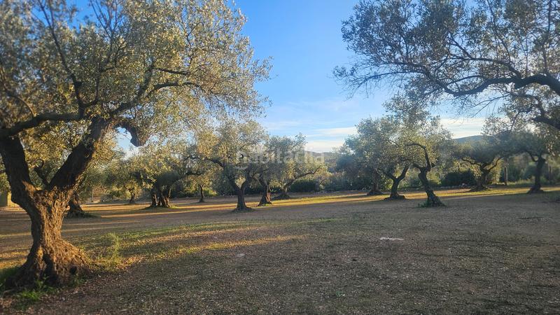 Foto 36b0296e-e222-4cfb-94c0-d72f3c0044cd. Mas dans n/a dans Canet lo Roig