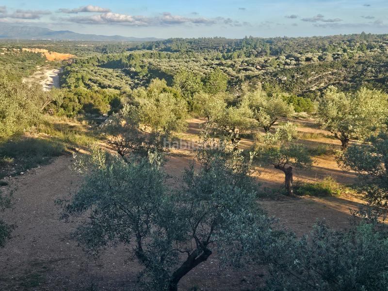 Foto 6131efaf-ea20-487c-817d-6c05a693a2da. Mas dans n/a dans Canet lo Roig