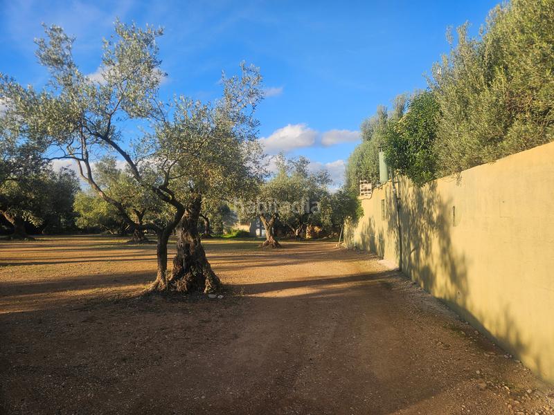 Foto 9252cf7d-f052-413f-8836-05db694831e7. Mas dans n/a dans Canet lo Roig