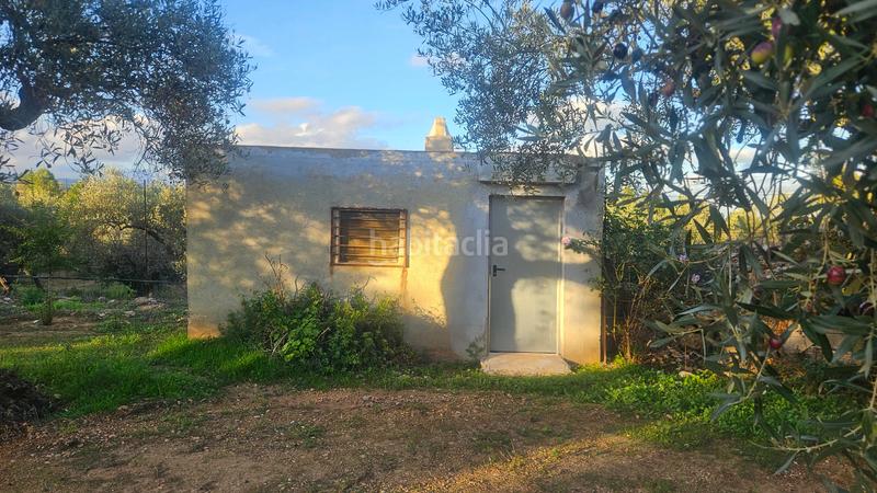 Foto a32113ef-3d88-476c-a3a4-f79c1b1f6479. Mas dans n/a dans Canet lo Roig