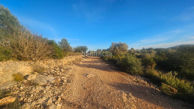 Foto e9762161-3488-4ad1-bf8d-0f6353786456. Mas dans n/a dans Canet lo Roig